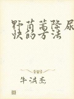 野茼蒿降尿酸最快的方法