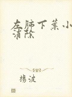 左肺下叶小结节消除