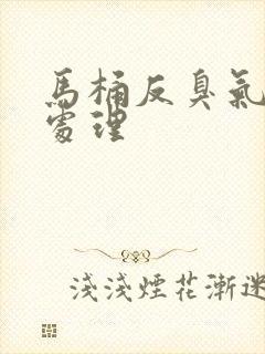 马桶反臭气怎么处理