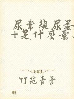 尿常规尿蛋白2+是什么意思,严重吗