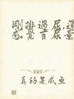 刚排过尿,还是感觉有尿意