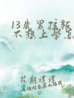 13岁男孩叛逆不想上学怎么办