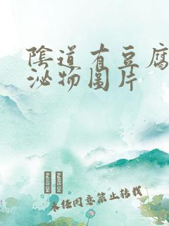 阴道有豆腐渣分泌物图片