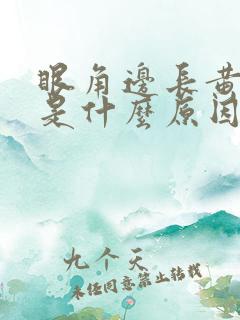 眼角边长黄褐斑是什么原因