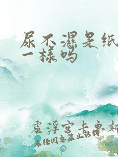 尿不湿是纸尿裤一样吗