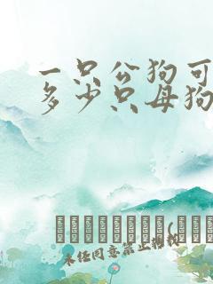 一只公狗可以配多少只母狗