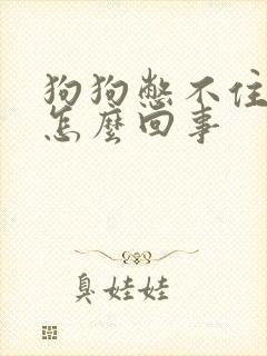 狗狗憋不住尿是怎么回事