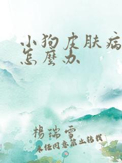 小狗皮肤病掉毛怎么办