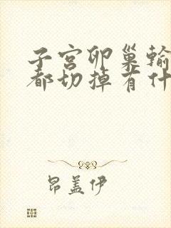 子宫卵巢输卵管都切掉有什么影响