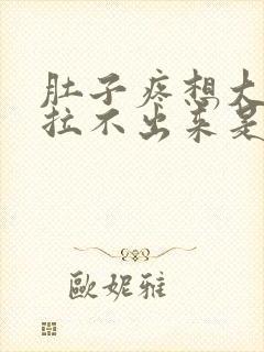 肚子疼想大便又拉不出来是怎么回事