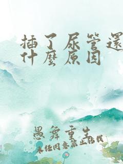 插了尿管还漏尿什么原因