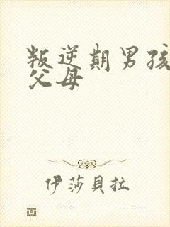 叛逆期男孩打骂父母