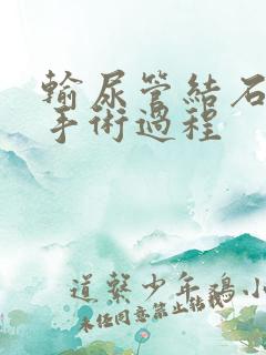 输尿管结石软镜手术过程