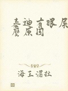 泰迪有眼屎是什么原因