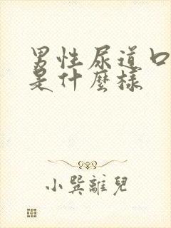 男性尿道口正常是什么样