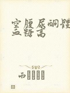 空腹尿酮体1十血糖高