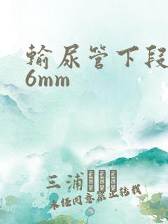 输尿管下段结石6mm