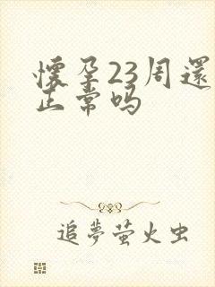 怀孕23周还吐正常吗