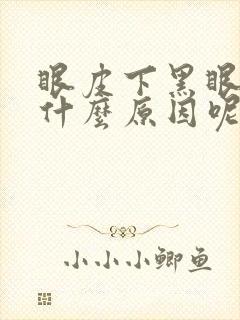 眼皮下黑眼圈是什么原因呢