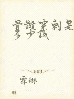 骨髓穿刺是检查多少钱