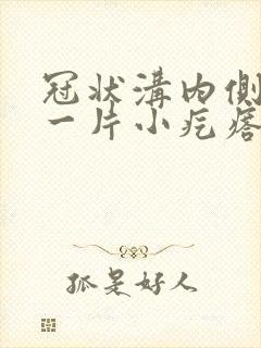 冠状沟内侧长了一片小疙瘩