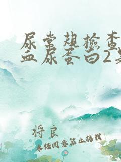 尿常规检查尿潜血尿蛋白2是什么意思