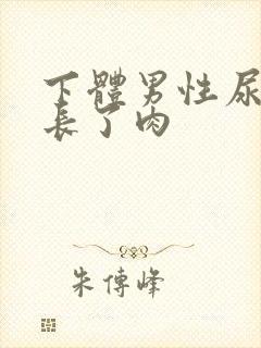 下体男性尿道口长了肉