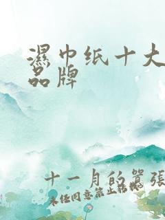 湿巾纸十大排名品牌