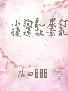 小狗乱尿打了之后还故意乱拉