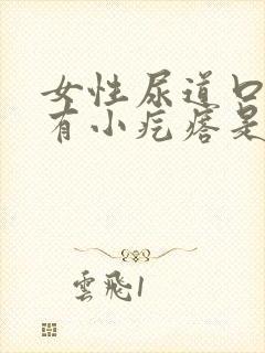 女性尿道口里面有小疙瘩是什么状况