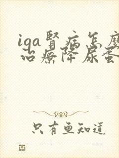 iga肾病怎么治疗降尿蛋白