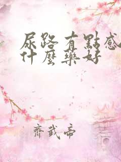 尿路有点感染吃什么药好