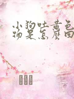 小狗吐黄色呕吐物是怎么回事