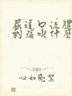 尿道口流脓撒尿刺痛吃什么药