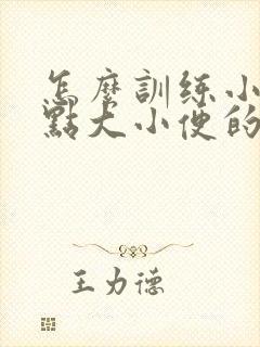 怎么训练小狗定点大小便的方法