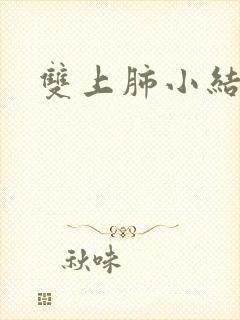 双上肺小结节影