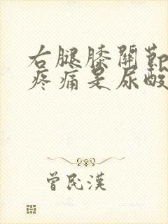 右腿膝关节内侧疼痛是尿酸高