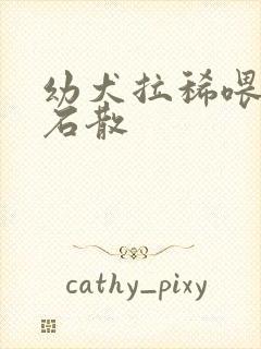 幼犬拉稀喂蒙脱石散