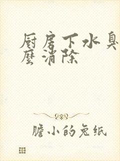 厨房下水臭味怎么消除