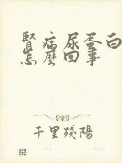 肾病尿蛋白高是怎么回事