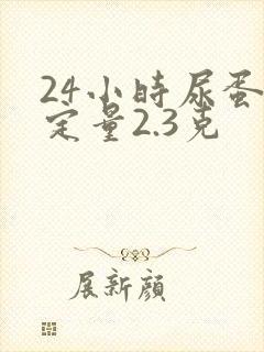 24小时尿蛋白定量2.3克