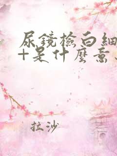 尿镜检白细胞1+是什么意思