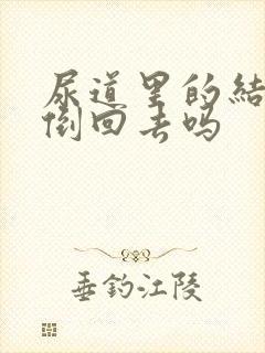 尿道里的结石会倒回去吗