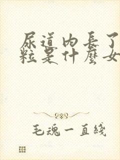 尿道内长了小颗粒是什么女性