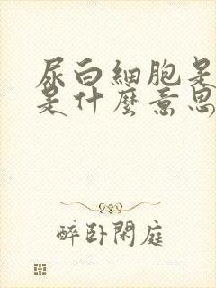 尿白细胞是阳性是什么意思