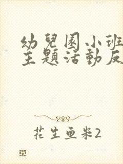 幼儿园小班水的主题活动反思