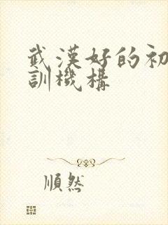 武汉好的初中培训机构