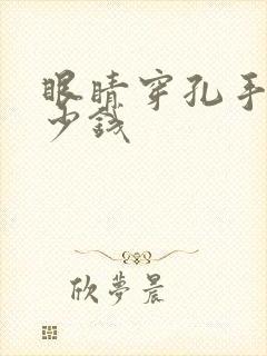 眼睛穿孔手术多少钱