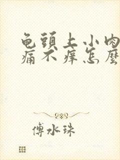 龟头上小肉粒不痛不痒怎么治