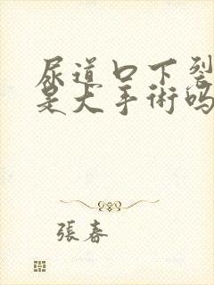 尿道口下裂手术是大手术吗